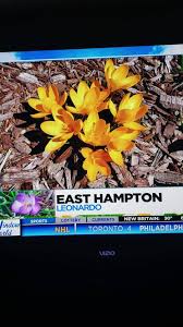 Next day delivery of roses and flowers to all neighborhoods, including town center, lake pocotopaug, colchester ave, main st and many more! Pawsitive Solutions Home Facebook