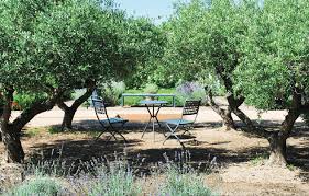 A la saveur sucrée et fruitée. Les Jardins De Colette Jardins De France