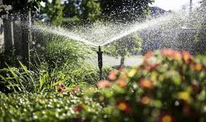 In this piece, i shared my thoughts on how long you should water lawn with an oscillating sprinkler. How Often Should You Water Your Lawn In Hot Weather Express Co Uk