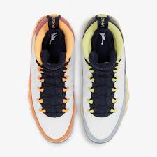 Cactus blossoms, the related artists. Air Jordan 9 Cactus Flower Grailify