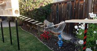 Mark Rober Builds Elaborate Ninja Warrior Squirrel Obstacle Course Video Nasa Engineer Obstacle Course Indoor Activities For Kids