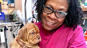 It works like a credit card that is used for your pet's healthcare services. Covid 19 Takes The Life Of A Harlem Veterinarian Cornell Chronicle