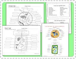 Garbage collector animal cell organelle brainly. 33 Label The Plant And Animal Cell Labels For Your Ideas