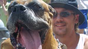 Tongues And Tails Are Wagging: Mochi's Mouth Laps Up World Record