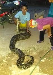 More images for tử tù nhiễm covid » Juulqvn6el6ckm