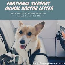 Emotional Support Letter Emotional Support Animal Emotional Support Emotional Support Dog