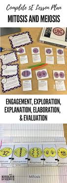 Mitosis And Meiosis Lesson Plan A Complete Science Lesson Using The 5e Method Of Instruction Kesler Science Biology Lessons Science Lessons Lab Activities