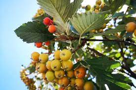 We did not find results for: Novosti Oficialnyj Sajt Goroda Odessa