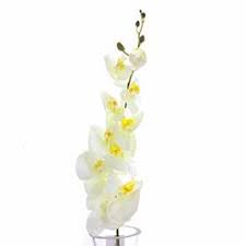 Evidea Com Cicek Yapay Cicekler Orkideler