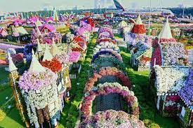 Jul 15, 2021 · when the nintendo switch first launched, there were fewer than a dozen titles available for sale. Dubai Miracle Garden Und Global Village Shopping Tour 2021 Tiefpreisgarantie