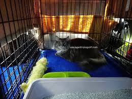 The company allayed my fears and we had our dog transported safely and. Mimi S Pet Transport Usa Safest Private 48hr Ground Transportation