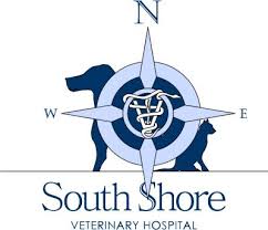 Exceptional care for your animal friends from our veterinarians in shrewsbury, nj. Cicero Veterinarian Testimonials South Shore Veterinary Hospital