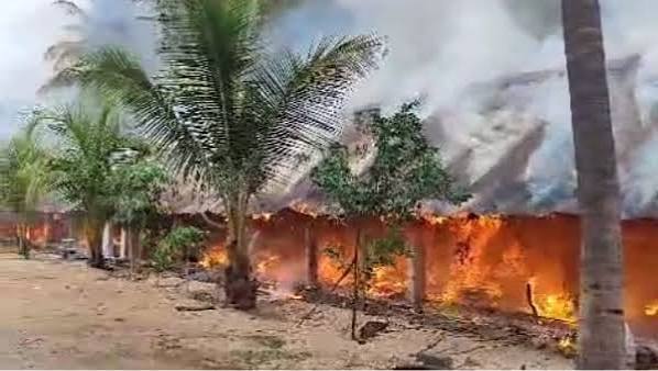 ஒரு நிமிஷம் தான்..ஒரு வருட உழைப்பும் போச்சே! பண்ணையைச் சூழ்ந்த தீ..துடிக்க துடிக்க உயிரிழந்த கோழிகள் | 5000 chickens burnt to death in Tiruppathur fire - Tamil Oneindia