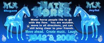 Chinese Zodiac Water Horse 1942 2002 Born By Valxart Zodiac Chinese Zodiac Horses