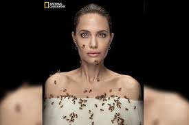 Voight), ранее джоли питт (англ. Angelina Jolie Gets Covered In Bees For World Bee Day