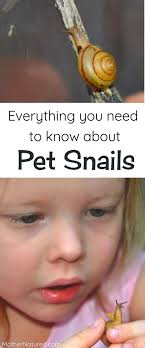 Keeping Pet Snails Everything You Need To Know About Their Care Pet Snails Snails Preschool Snails In Garden