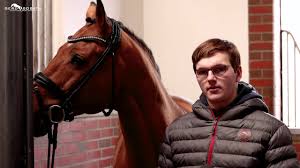 Maybe you would like to learn more about one of these? Herakles 2012 By Catoki X Landor S Sosath Stallion Show 2021 Youtube