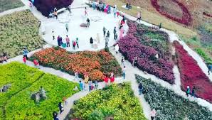 Biasanya masyarakat lebih mengenal lokasi taman bunga nusantara. Wisata Alam Tonang Liburan Seru Ditaman Bunga Pasaman