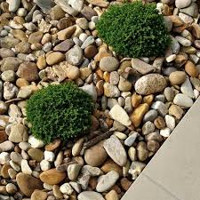 Check spelling or type a new query. Rock Ground Cover Landscaping Rocks Rcp Block Brick