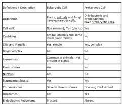 Are plants and animal cells alike? Cell Reflection Pt 2 Sid Biochem Blog 2013