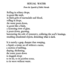Image Result For Pablo Neruda Poems Pablo Neruda Poems Pablo