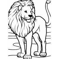 Risultati Immagini Per Coniglio E Leone Da Disegnare Disegnare Animali Animali Dipinti Ad Acquerello