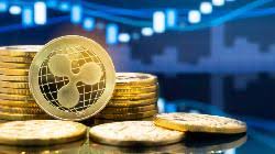 Ripple is a money transfer network designed to serve the needs of the financial services industry. What Does The Future Predict For Ripple Xrp Token Investing Com India