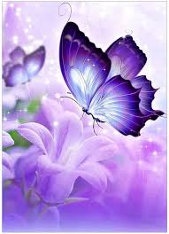 We did not find results for: Buy Kthofcy 5d Diy Diamond Painting Kits For Adults Kids Butterfly Flower Full Drill Embroidery Cross Stitch Crystal Rhinestone Paintings Pictures Arts Wall Decor Painting Dots Kits 15 7x11 8 In Online In Greece