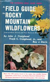 Northern arizona features forests of pine, douglas fir, and spruce trees; A Field Guide To Rocky Mountain Wildflowers Northern Arizona And New Mexico To British Columbia