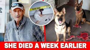 New TWIST in Gene Hackman's Death: His Wife Was Dead A Week Earlier -  YouTube