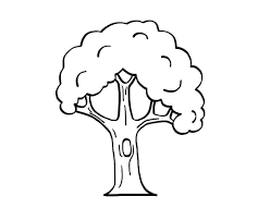 Arbol Dibujo Para Imprimir Y Colorear
