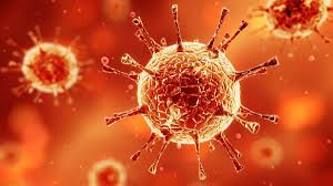 Tapi apa hubung kait pemakanan dengan sistem pertahanan badan si manja? Bagaimana Hiv Menyerang Sistem Kekebalan Tubuh Manusia