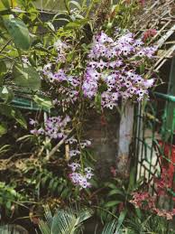 Flower bud in the rain by trofimich. Kopou Hashtag On Twitter