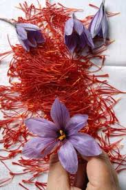 Saffron Also Used A Yellow Pigment In Illuminated Manuscripts Luxoflife Ll Safran Saffron Nature Especiarias E Ervas Especiarias Ervas Aromaticas