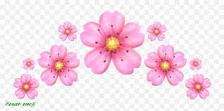 13 Facts About Flower Emoji That Will Blow Your Mind Flower Emoji Https Www Flowernifty Com 13 Facts About F Flower Wallpaper Flower Drawing Blow Your Mind