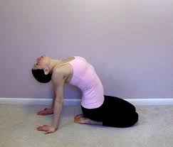 Cure Headaches With These Yoga Poses Yoga Poses Exercise Fitness
