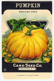 Vintage Pumpkin Seed Packet Vintage Seed Packets Pumpkin Seed Packets