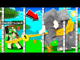 (crazy) w/ beckbrojack enjoyed the video? 7 New Animals Minecraft Needs To Add Lions Elephants Tigers More Litetube
