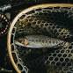 Durangler’s Spring Fly Fishing Fest