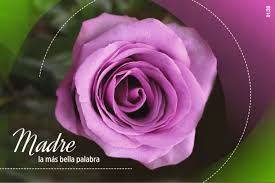A La Venta Postales Por El Dia De Las Madres Correos De Cuba