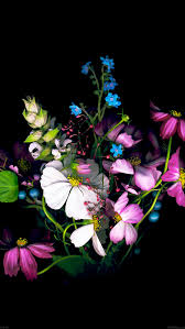 Iphone Flower Wallpaper Hd 640x1136 Download Hd Wallpaper Wallpapertip We hope you enjoy our growing collection of hd images to use as a background or home screen for please contact us if you want to publish a gray flower hd iphone wallpaper on our site. iphone flower wallpaper hd 640x1136