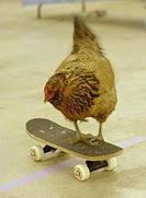 Instead, you can unlock characters and stages. Fingerboard Skateboard Wikipedia