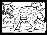 Supercoloring.com is a super fun for all ages: India Coloring Pages
