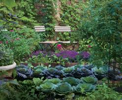 How to make my garden soil richer. 5 Ways To Enrich Your Garden Soil Dengarden