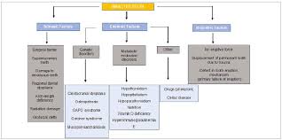 The present study provides information to patients and clinicians. Scielo Brasil Orthodontic Traction Of Impacted Maxillary Canines Using Segmented Arch Mechanics Orthodontic Traction Of Impacted Maxillary Canines Using Segmented Arch Mechanics