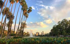 For the best flowers in los angeles, ca, allyson's flowers is the one to call. File Echo Park Lake With Lotus Flowers And Los Angeles Skyline In The Background Jpg Wikipedia
