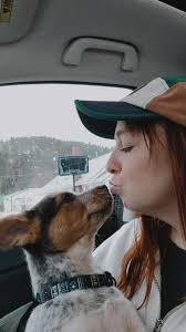 Charlie our pretty boy boxer! Sitting pretty!