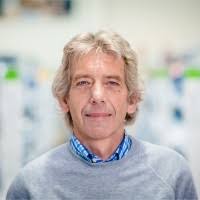 80+ "Viaene" profiles