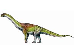 The best argentina dinosaur images and info on the internet. Discovery Of Biggest Dinosaur Ever Hailed By Scientists As Fossilised Bones Of Patagotitan Unearthed In Argentina The Independent The Independent