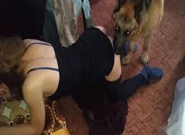 Maybe you would like to learn more about one of these? My Wife Love Dog Porn Zoo Porn Dog Sex Zoophilia